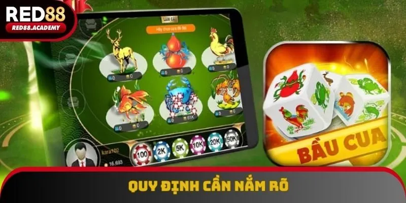 Quy định cần nắm rõ