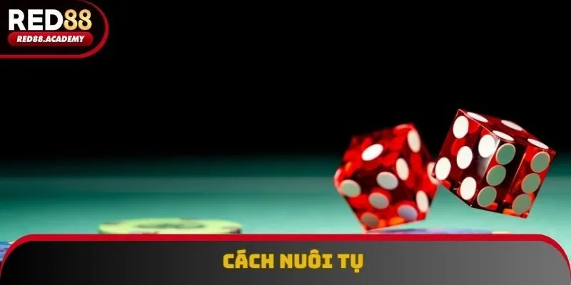 Nuôi tụ là phương pháp phổ biến được nhiều game thủ sử dụng
