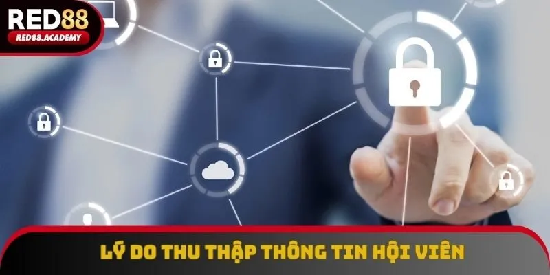 Điểm cược nêu ra lý do thu thập dữ liệu